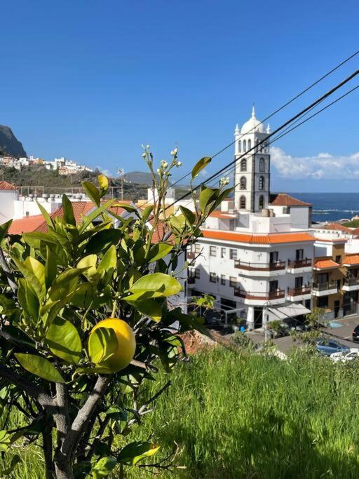 Bonita Casa En El Corazon Del Pueblo! Villa Carmen Гарачико Экстерьер фото